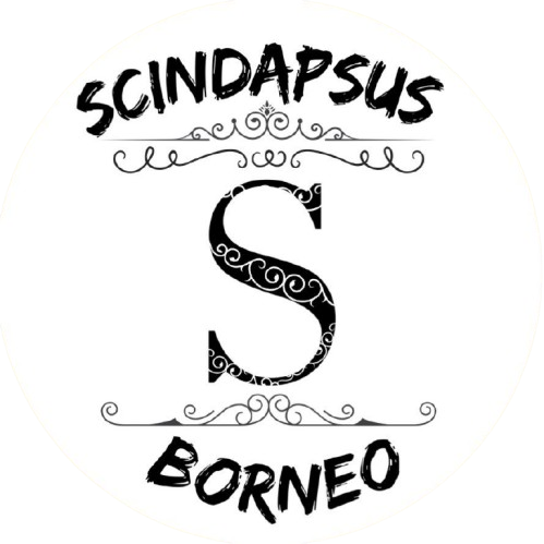 Scindapsus Borneo